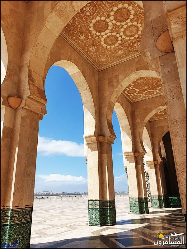 Il portico come spazio intermedio: ombra, luce filtrata e continuità tra interno ed esterno. Immagine dalla presentazione.