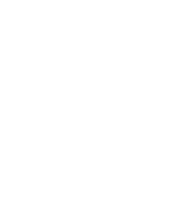 MESO-FRAME